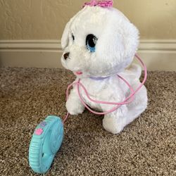 Remote Controlled Dog