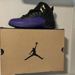 Jordan 12s 