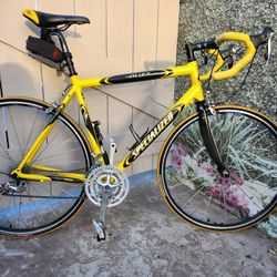 Specialized 21 Speed