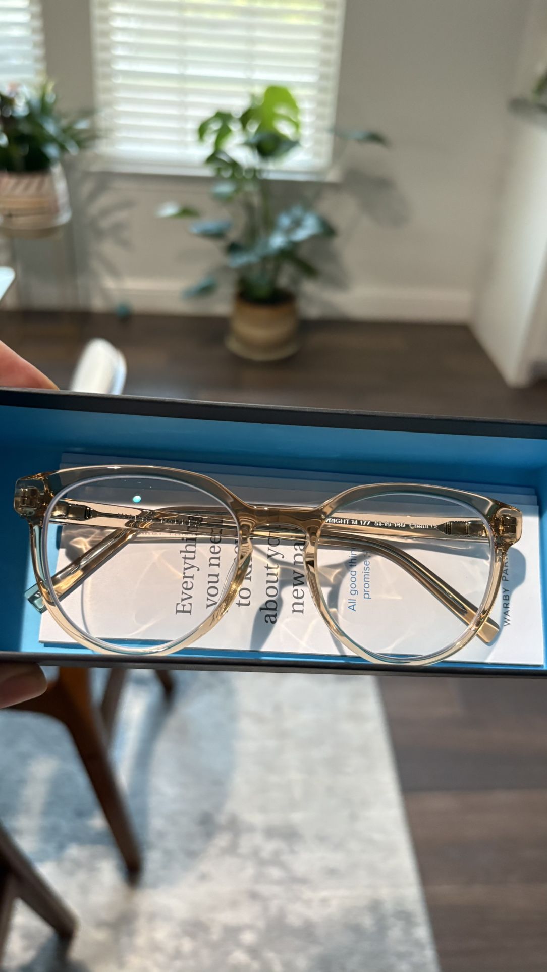 Eye Glasses Frame