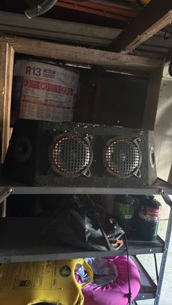 Dual Subwoofer Speaker Box
