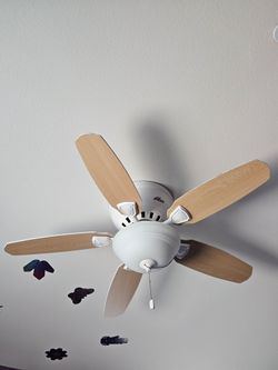 Hunter Louden 46" Ceiling Fans (2)
