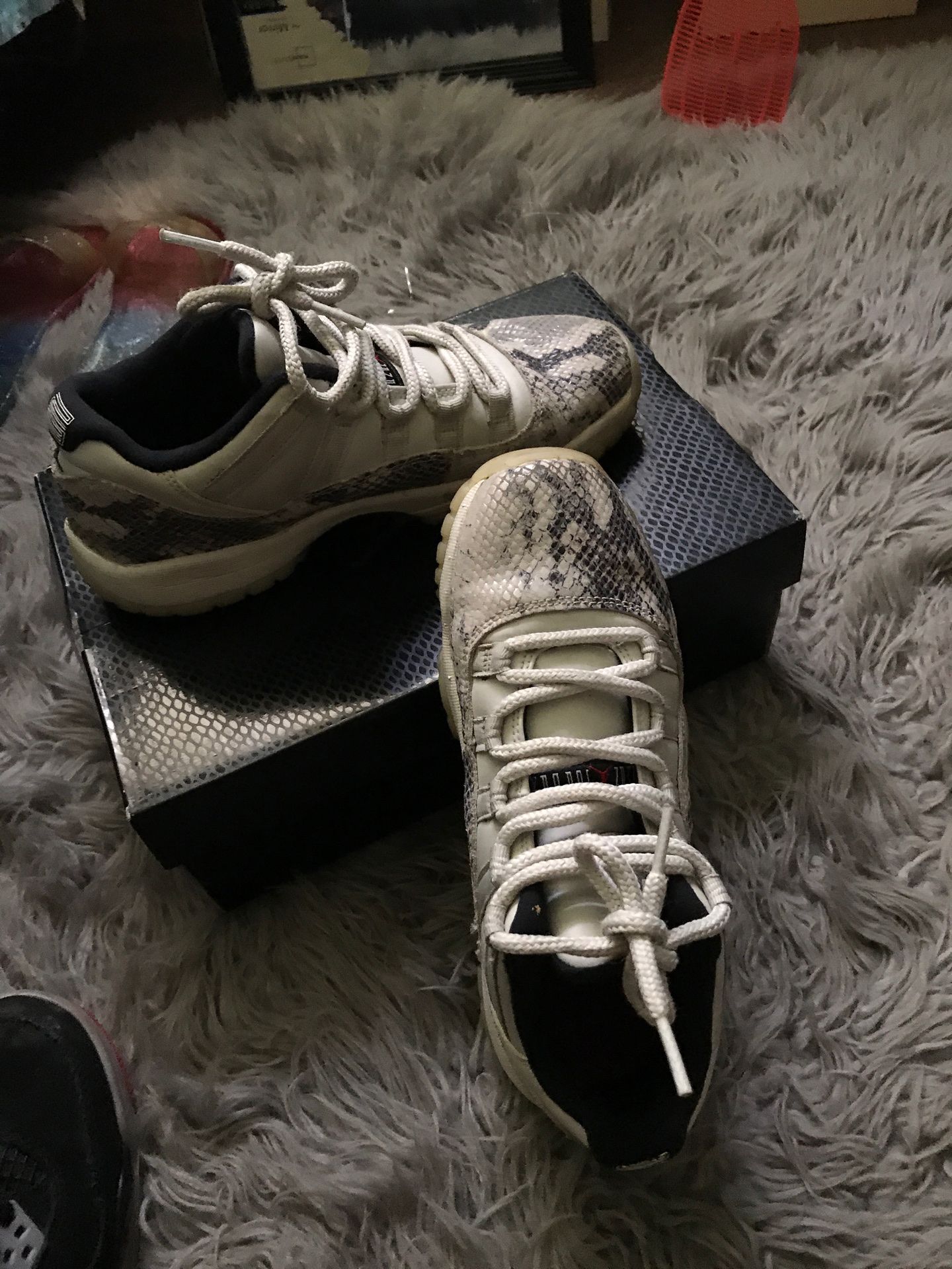 Jordan 11 Grey Snakeskin Grade School 5.5