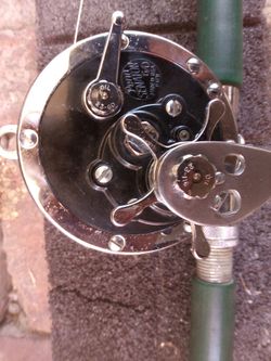 Penn Senator 6/0 Trolling reel