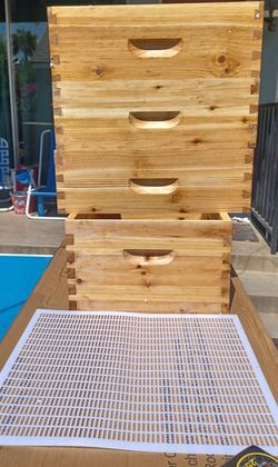 bee boxes