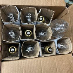 Sylvania Metal Halide 250 Watt Bulbs