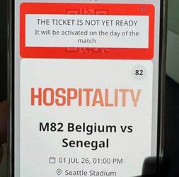 Belgium vs Senegal vip tickets