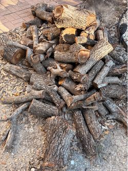 Oak Wood
