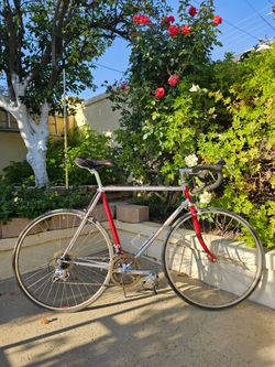 Vintage Nishiki Prestige Road Bike 1970s 1980s Fully Tune