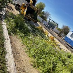 Los Vaqueros Chippers 