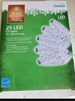 Christmas LED LIGHTS Have 4 Boxes
