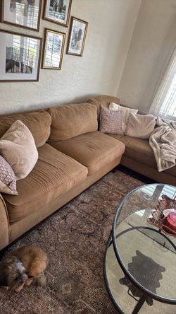 Lazy boy sectional