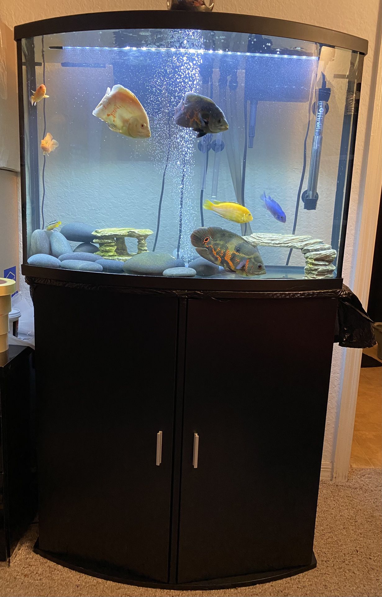 I sell fish tank with its table .no fish or filter .36 gallons