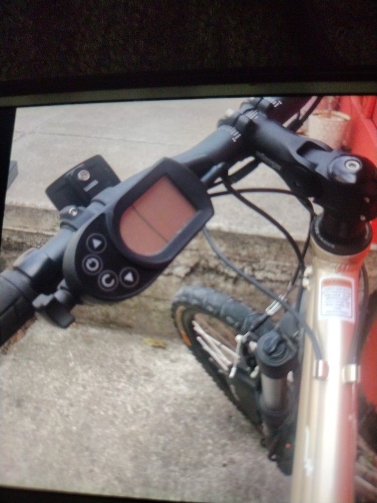 Electric Bike