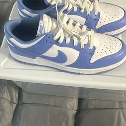 Nike Dunks “polar blue”