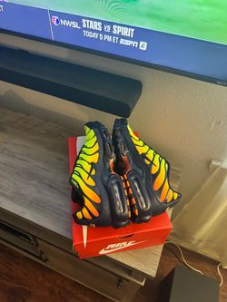 Nike Air Max Plus Sneakers🔥