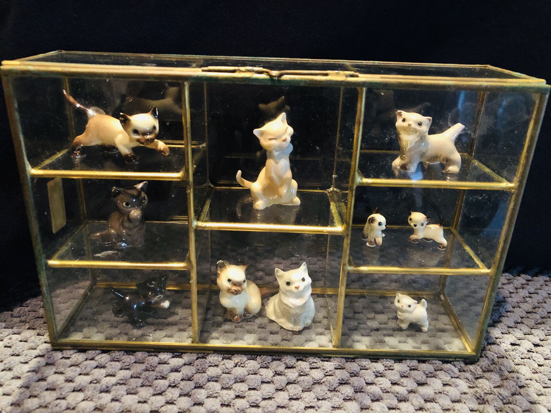 Porcelain Collectible Cats and Kittens in Glass Display Cabinet