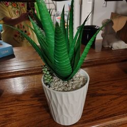 Beautiful Fake Plant In Spring Hill