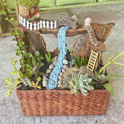 Succulent Arrangement 