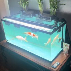 Fish Tank Items