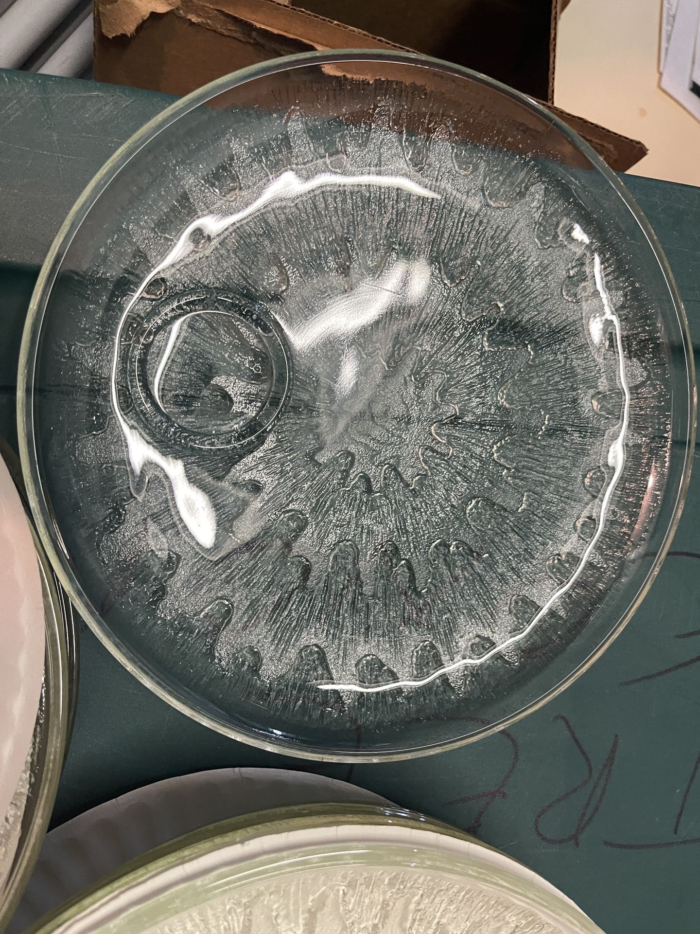 Clear Sandwich/cup Plates