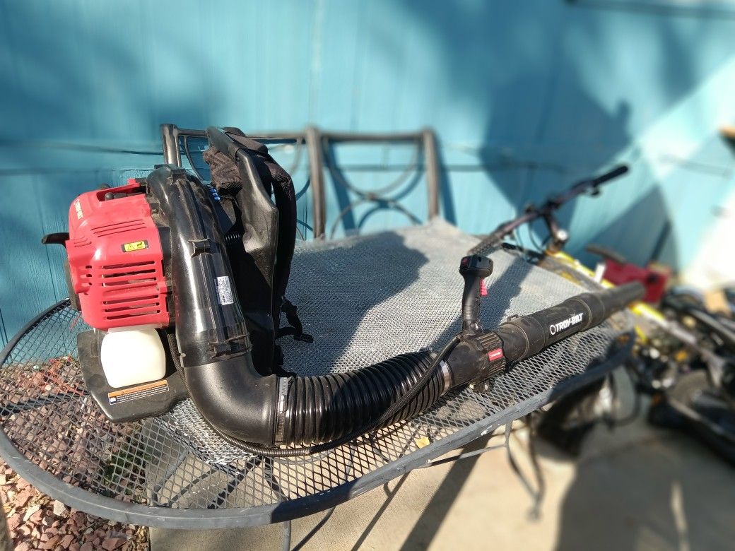 Leaf And More Blower