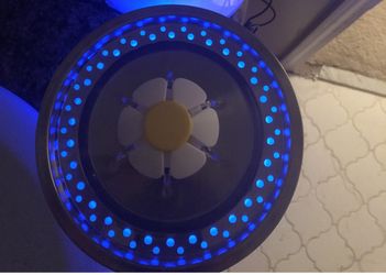 Pets water dispenser