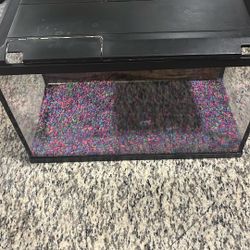 Fish Tanks And Tank Accessories 