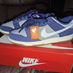 Nike Dunk Brand New Sz 10.5 