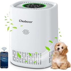 Smart Air Purifier