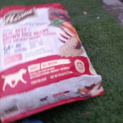 Dog Food 