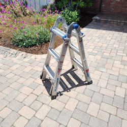 Werner Folding Ladder 