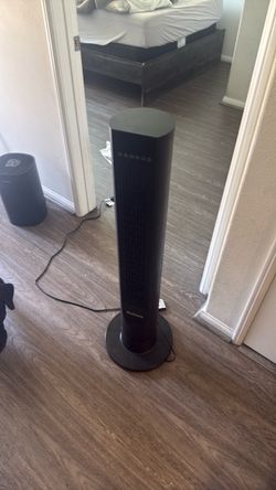 Fan