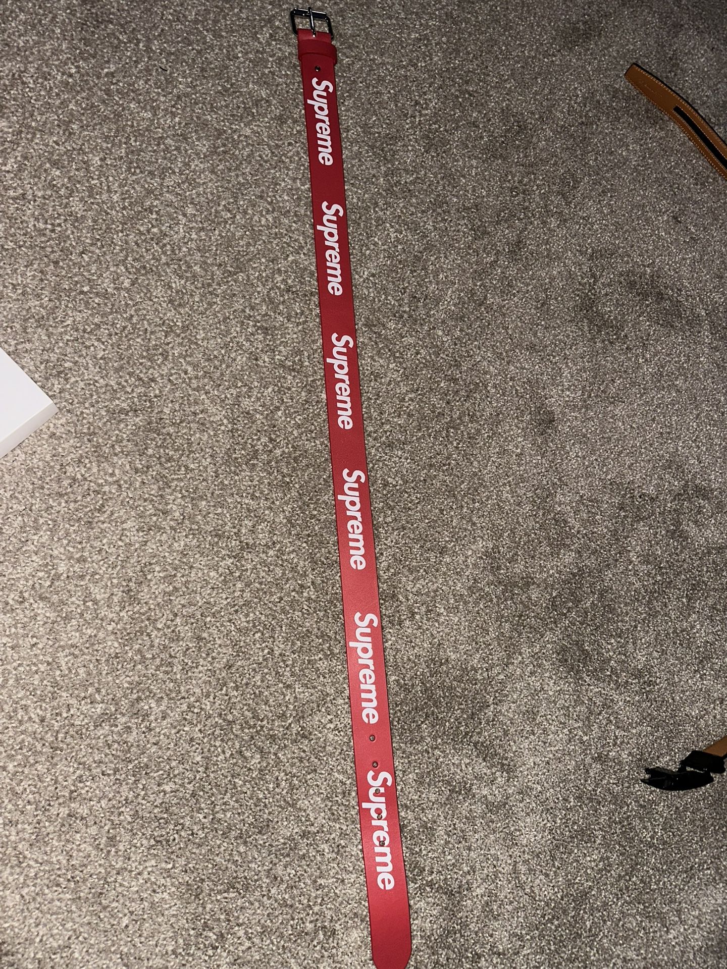 FW25 REPEAT Supreme Belt!