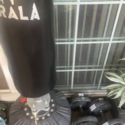 Punching Bag And Weights