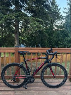 2019 specialized road bike