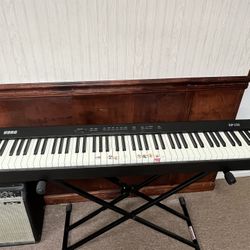 Korg Weighted Keyboard And Stand 