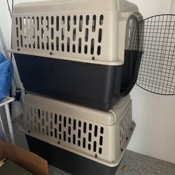 Top Paw Portable XL Dog Carrier