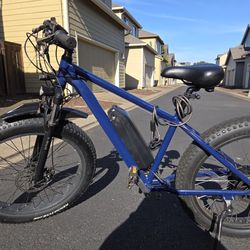 Used Custom Fat Tire eBike
