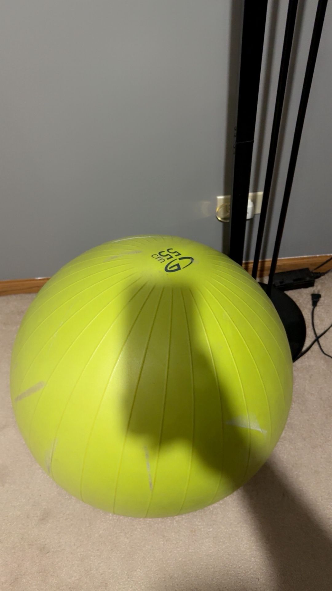 Exercise Ball
