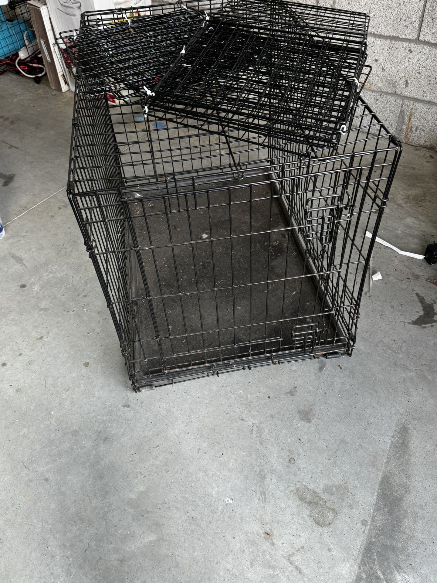 Dog Kennel