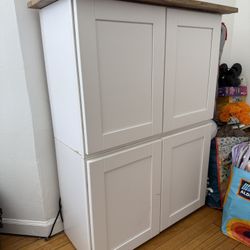 Storage Cabinet 
