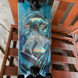 Skateboard .