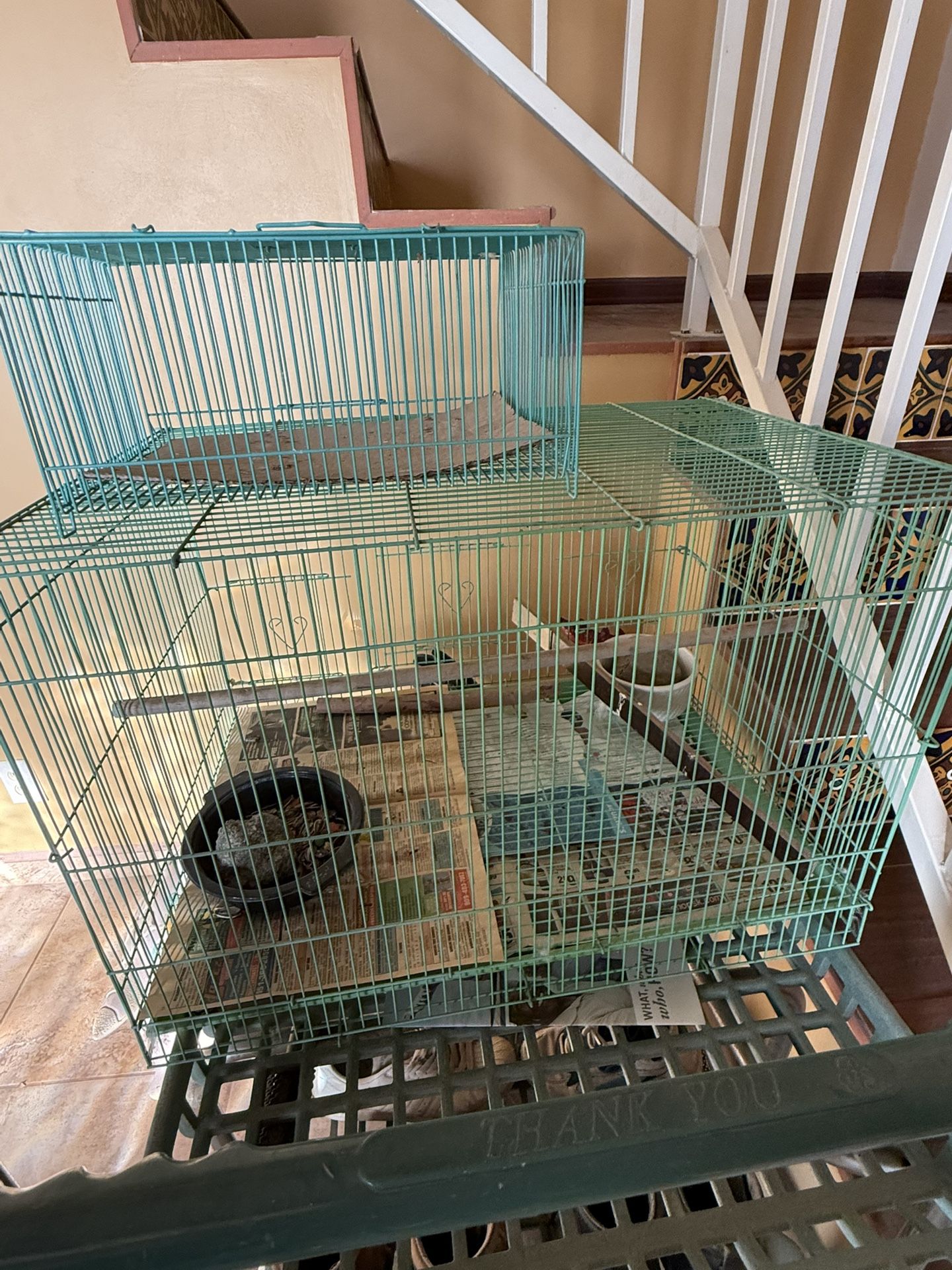 Bird Cage