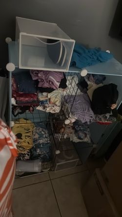 Organizador