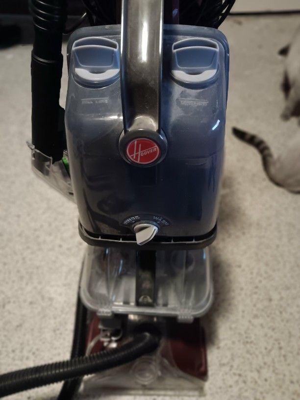 Hoover PowerScrub