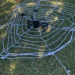 Stretchy Spider Web Plus Spider