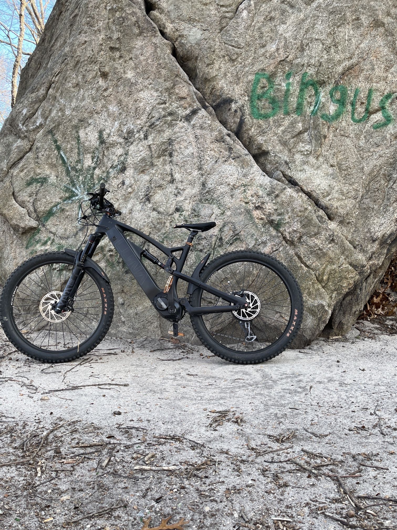 Luna Cycle X1 E MTB