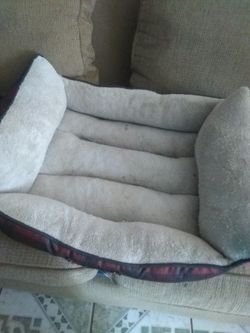 Barata cama para mascotas