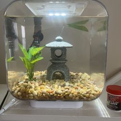 3 Gallon fish Tank 
